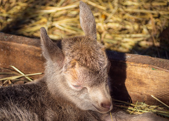 Similar image 21192398