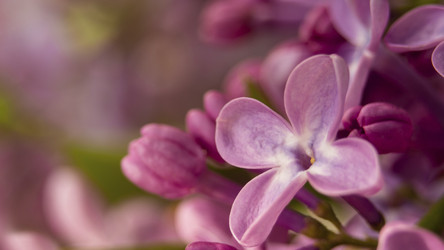 Similar image 21192400