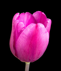 Similar image 21192401