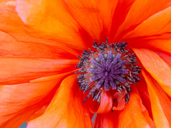 Similar image 21192405