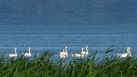 Similar image 21192410