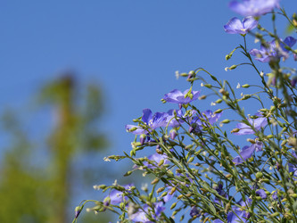 Similar image 21192411