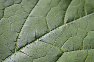 Similar image 21192413