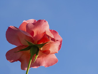 Similar image 21192414