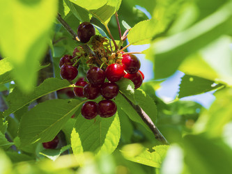 Similar image 21192415