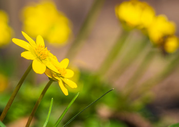 Similar image 21192417