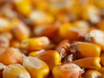 Similar image 21192420