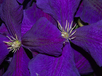 Similar image 21192422