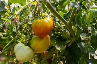 Similar image 21194776