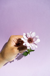 Similar image 21194779