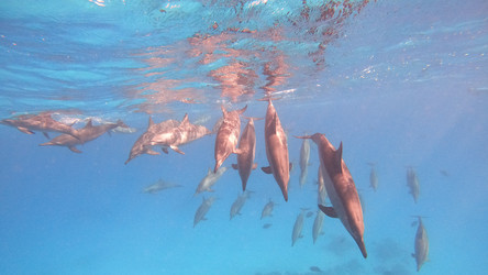 Similar image 21194781