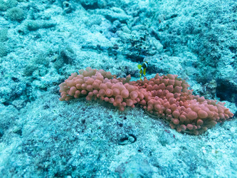 Similar image 21194782