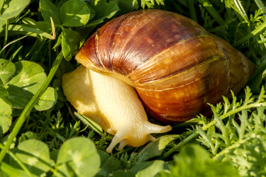 Similar image 21194786