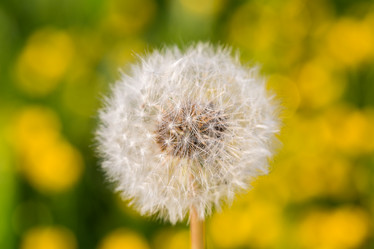 Similar image 21194791