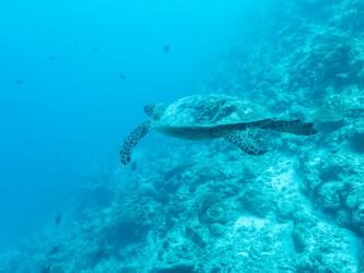 Similar image 21194792