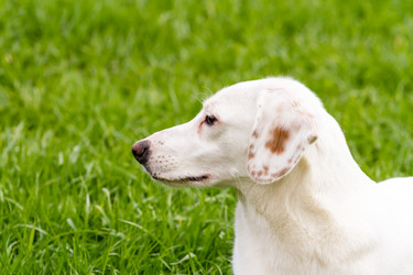 Similar image 21194793