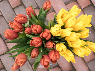 Similar image 21194795