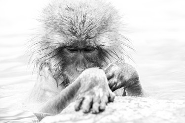 Similar image 21194801