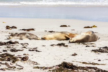 Similar image 21194803