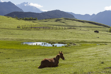 Similar image 21194804