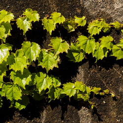 Similar image 21194808