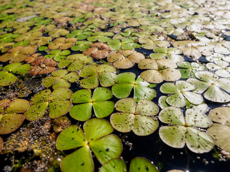 Similar image 21194809