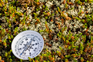 Similar image 21194810