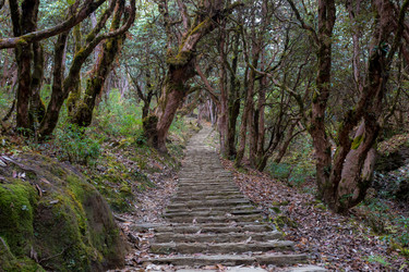 Similar image 21194812