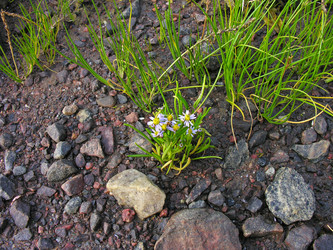 Similar image 21198572