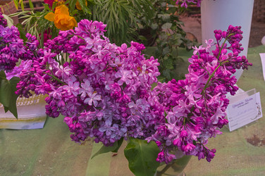 Similar image 21198574