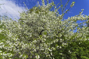 Similar image 21198575