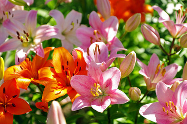 Similar image 21198576