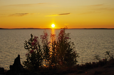 Similar image 21198578