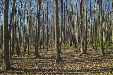 Similar image 21198580