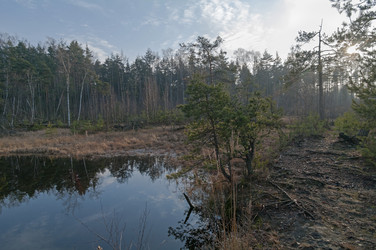 Similar image 21198581