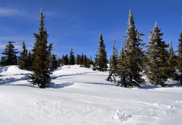 Similar image 21193598