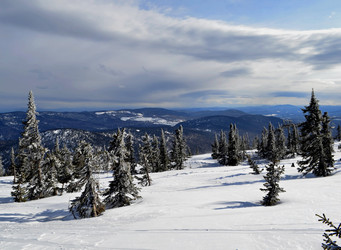 Similar image 21193599