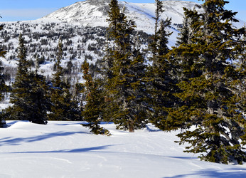 Similar image 21193601