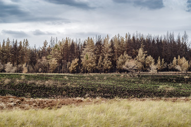 Similar image 21193640