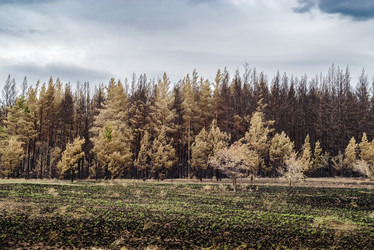 Similar image 21193643