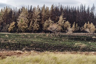 Similar image 21193644