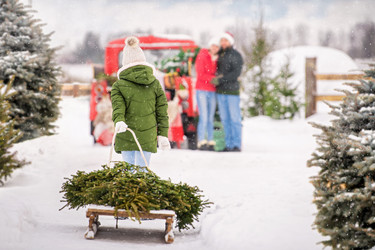 Similar image 21192663