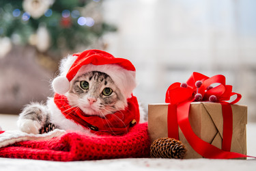 Similar image 21192129