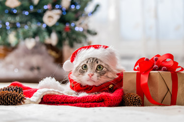 Similar image 21192130