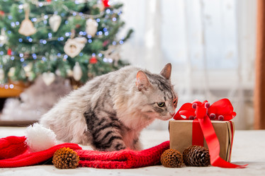 Similar image 21192282