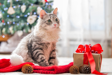 Similar image 21192283