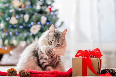 Similar image 21192284