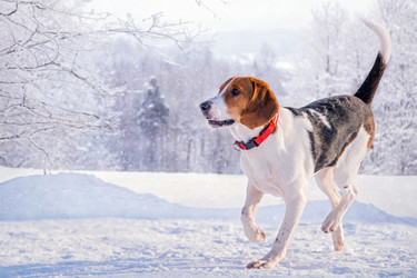 Similar image 21192673