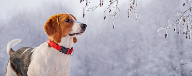 Similar image 21192674