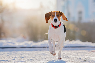 Similar image 21192675